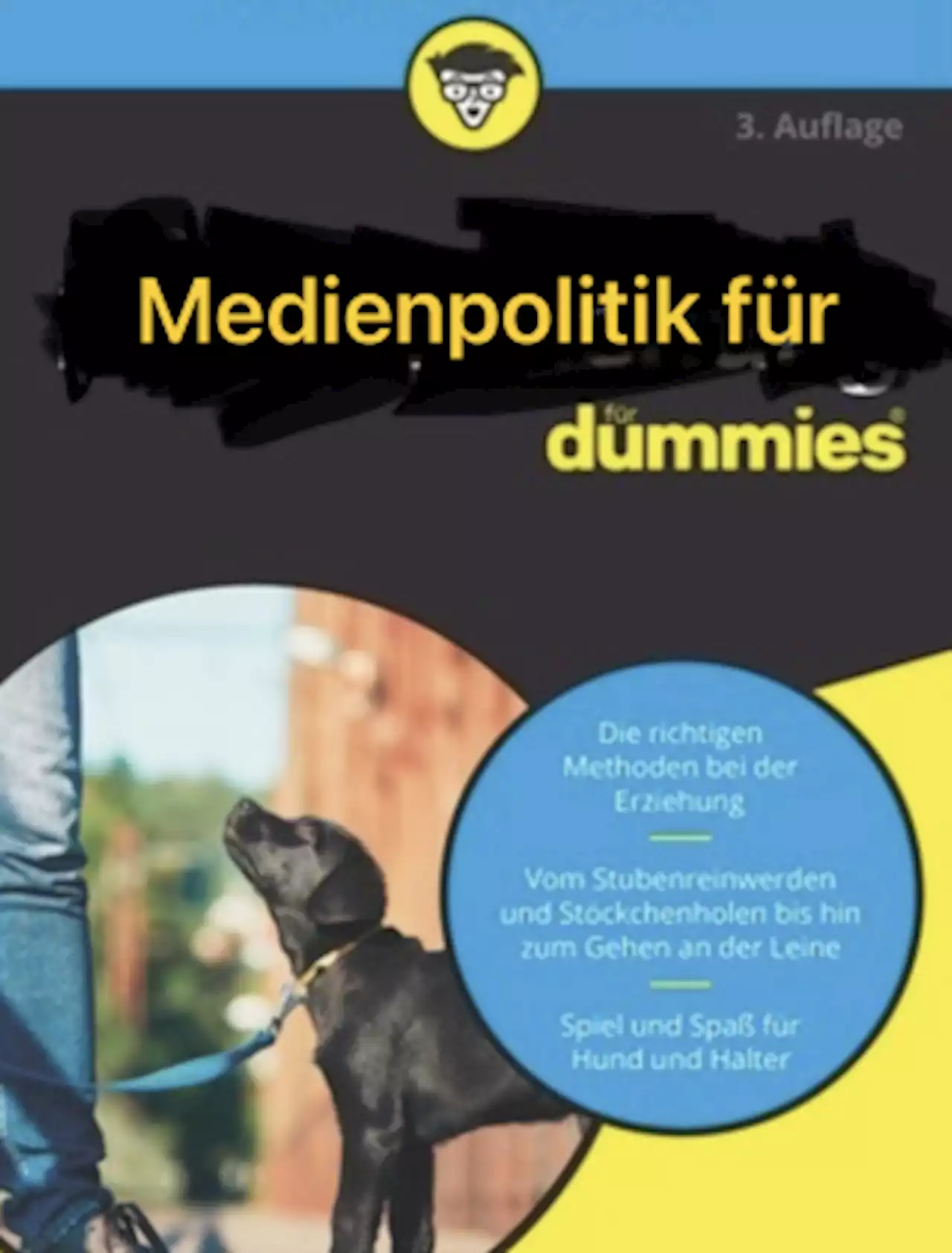 Medienpolitik für Dummies