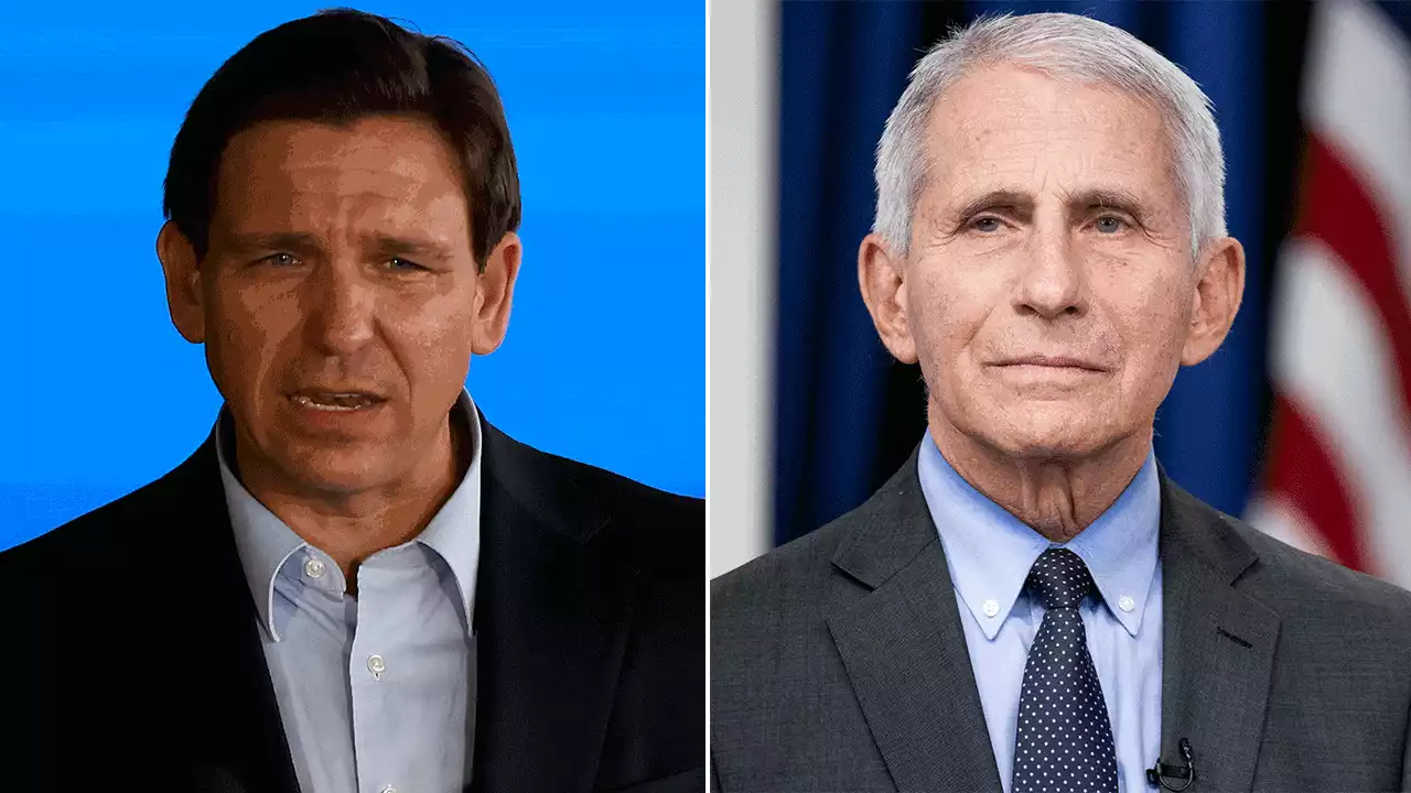 DeSantis highlights differences with Trump: 'I would have fired' Fauci