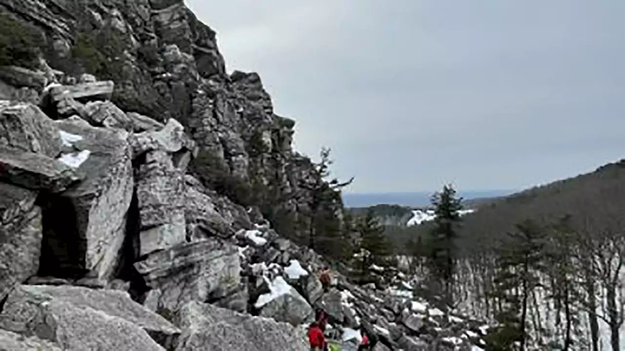 New York hiker found dead after 3-day search of nature preserve