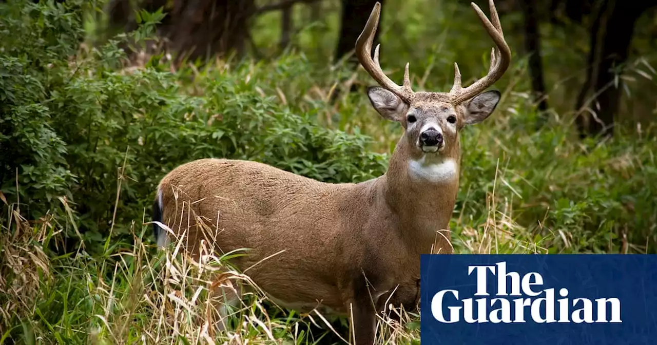 Man searching for deer antlers in Kansas finds human skeleton