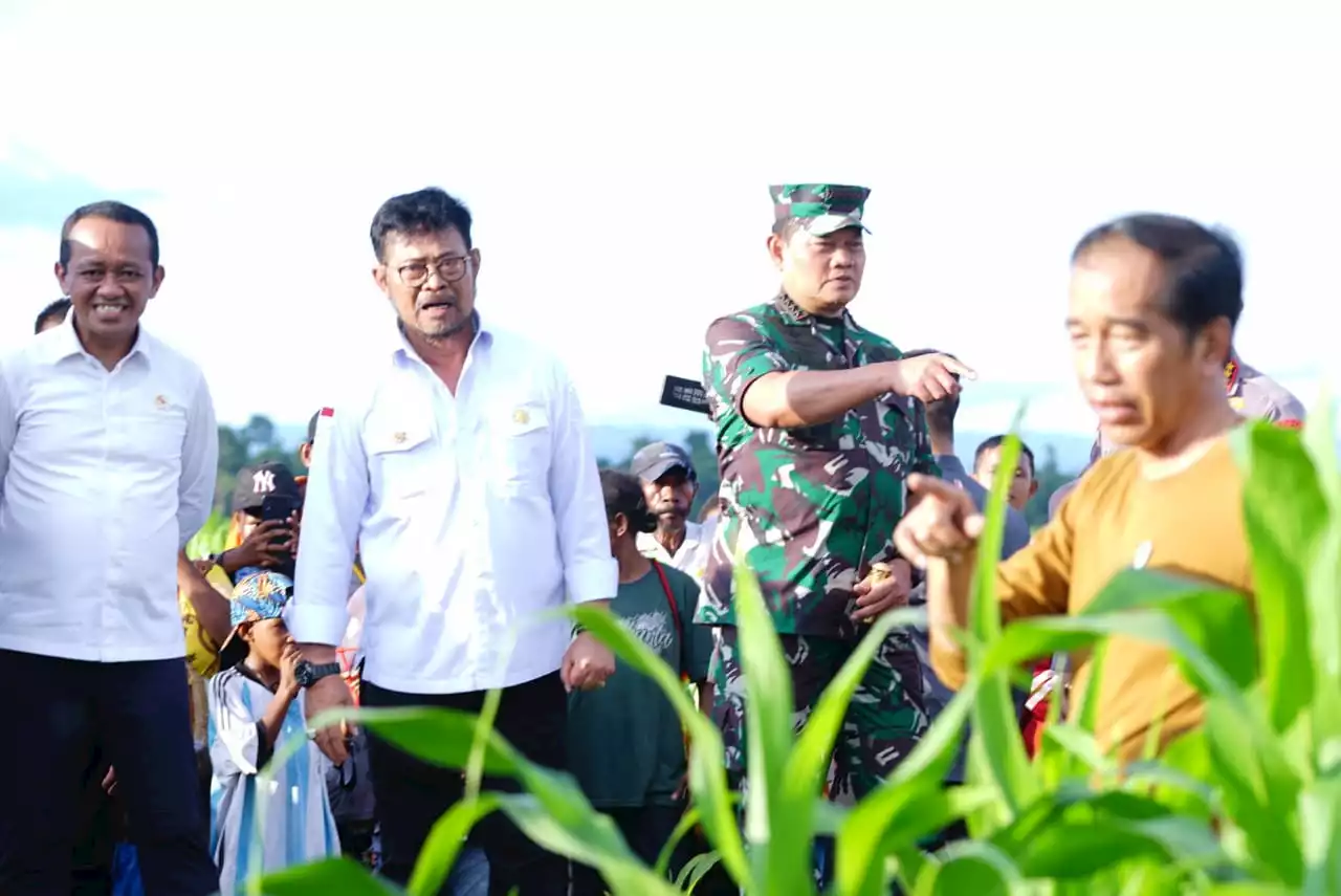 Kementan Siapkan Keerom jadi Sentra Komoditas Jagung Nasional