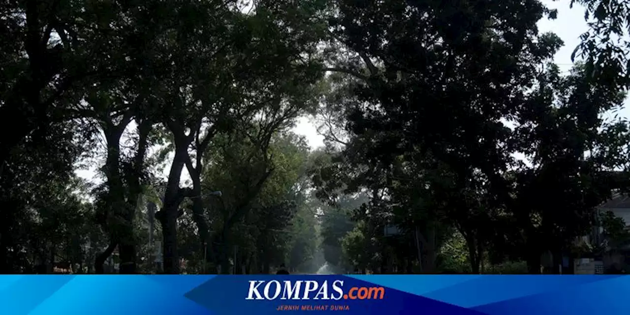 Nyepi, Beban Puncak Listrik di Bali Diprediksi Turun 40 Persen