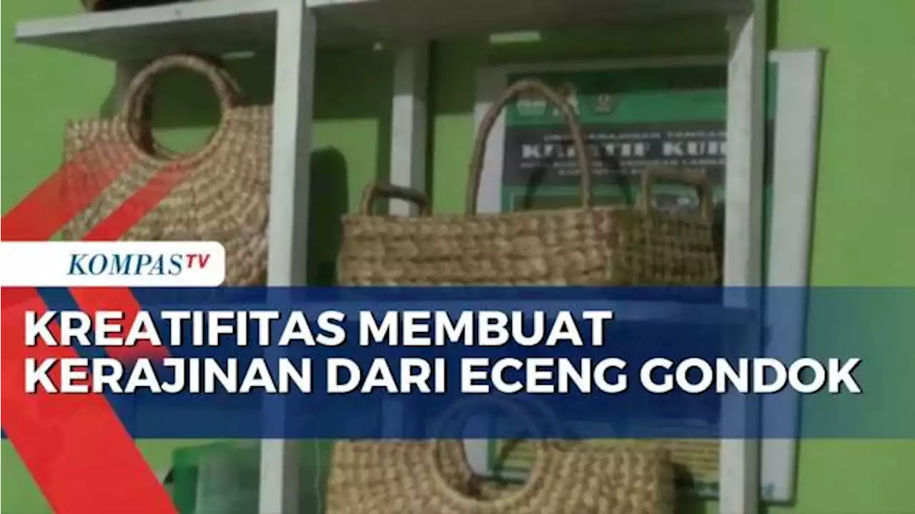 Siapa Sangka, Eceng Gondok Bisa Jadi Sumber Penghasilan di Aceh