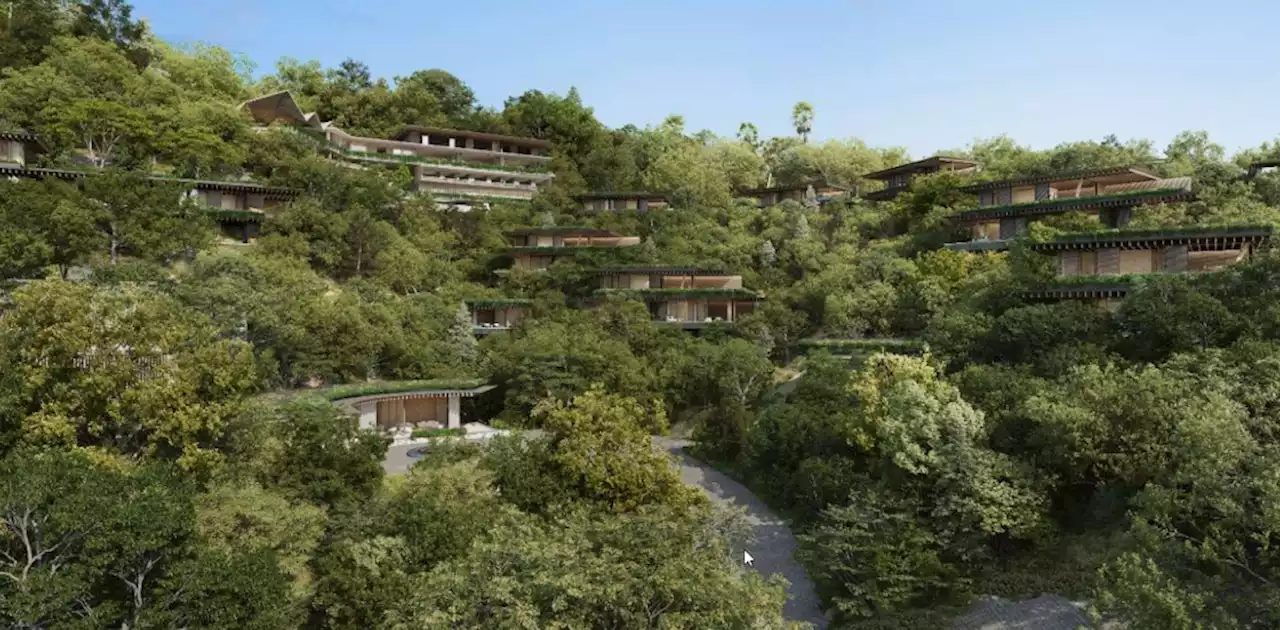 Motion to prevent hillside Benedict Canyon Hotel project moves to City Council