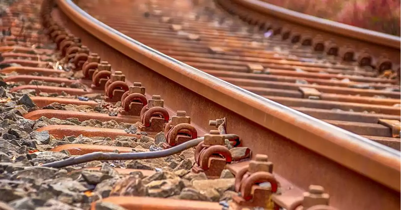 Haute-Marne : une étudiante tuée par un train en traversant un passage piéton aménagé