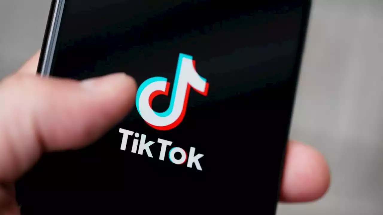 CEO de TikTok dirá al Congreso que la app es segura e insta a que no se prohíba