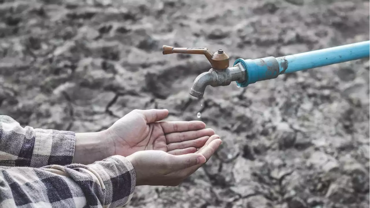 Les pénuries d’eau se généralisent, l’ONU alerte sur un « risque imminent » de crise mondiale