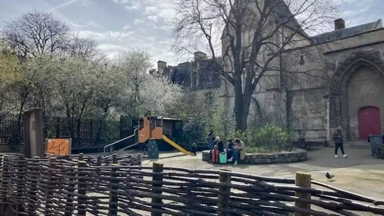 Paris : 900 000 euros pour donner une seconde jeunesse au jardin de Cluny