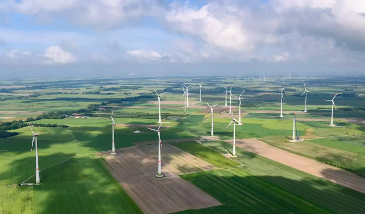 „Echte Klatsche“: Gericht kassiert Günthers Windkraft-Pläne