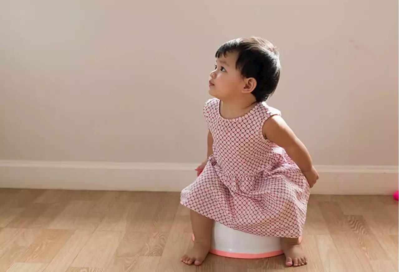 How to potty train your toddler