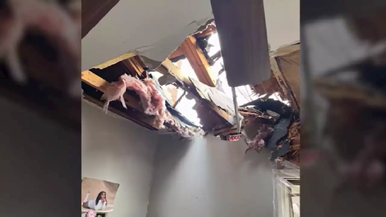 ‘Just Horrifying': Bricks From Vacant Building Crash Into Family's Garfield Park Home