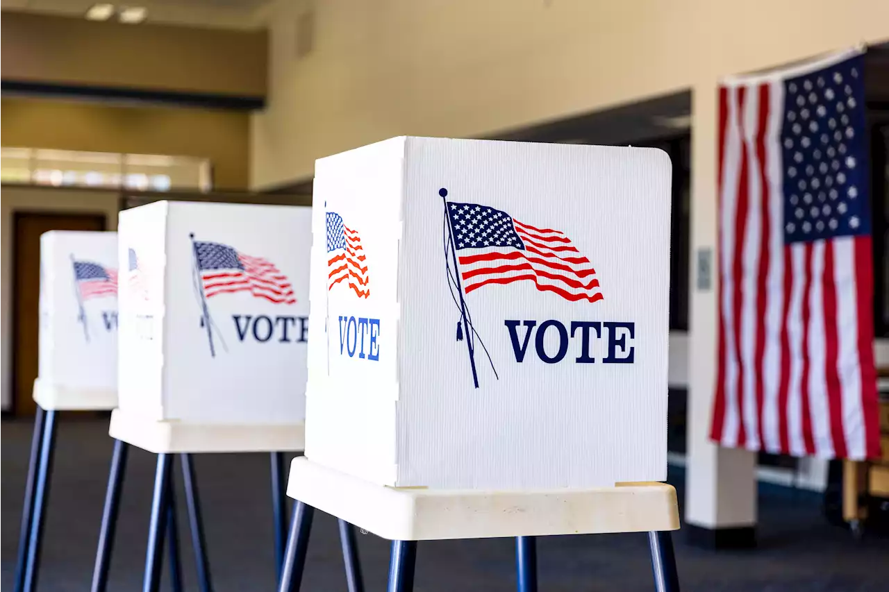 Suburban Chicago Communities to Vote on Mayors, Trustees and More in April Election