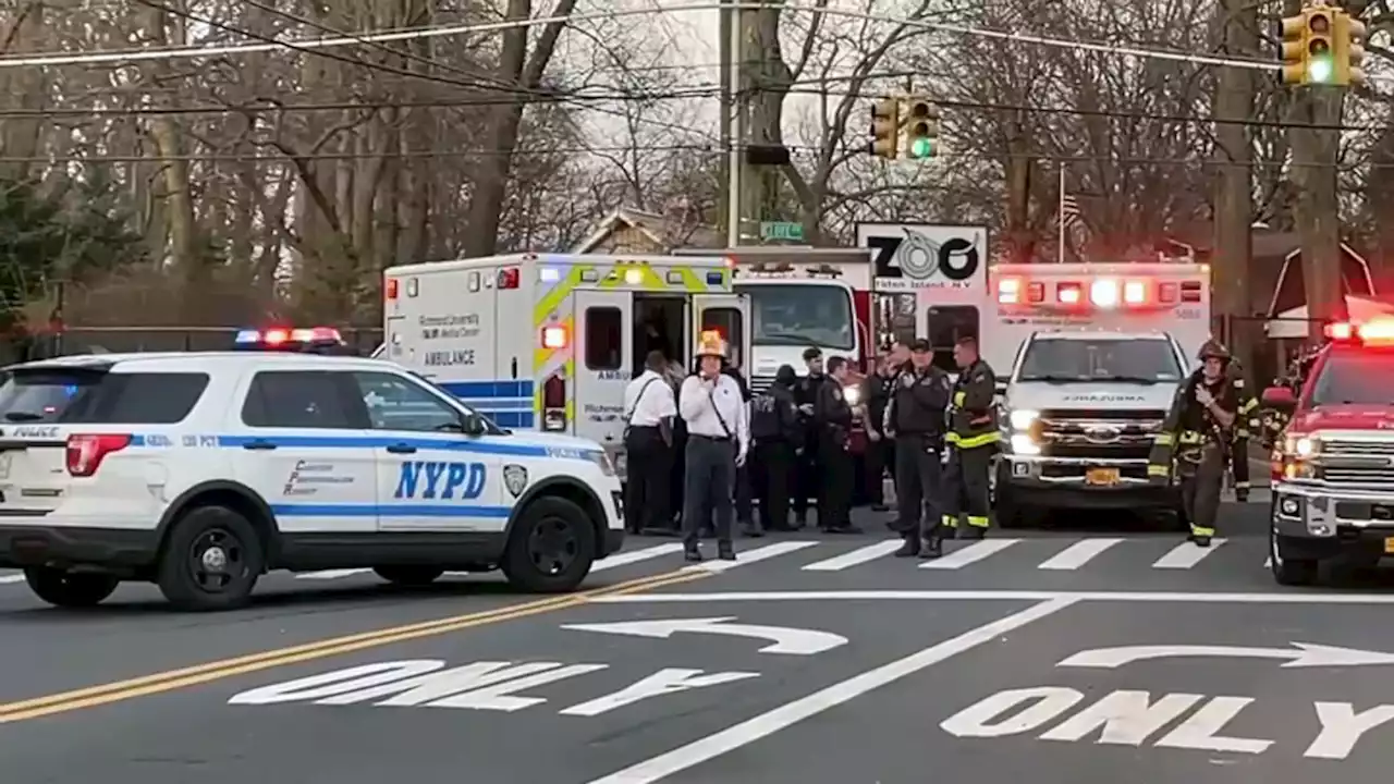 5 Lost Kids Saved From Storm Drain Near Staten Island Zoo