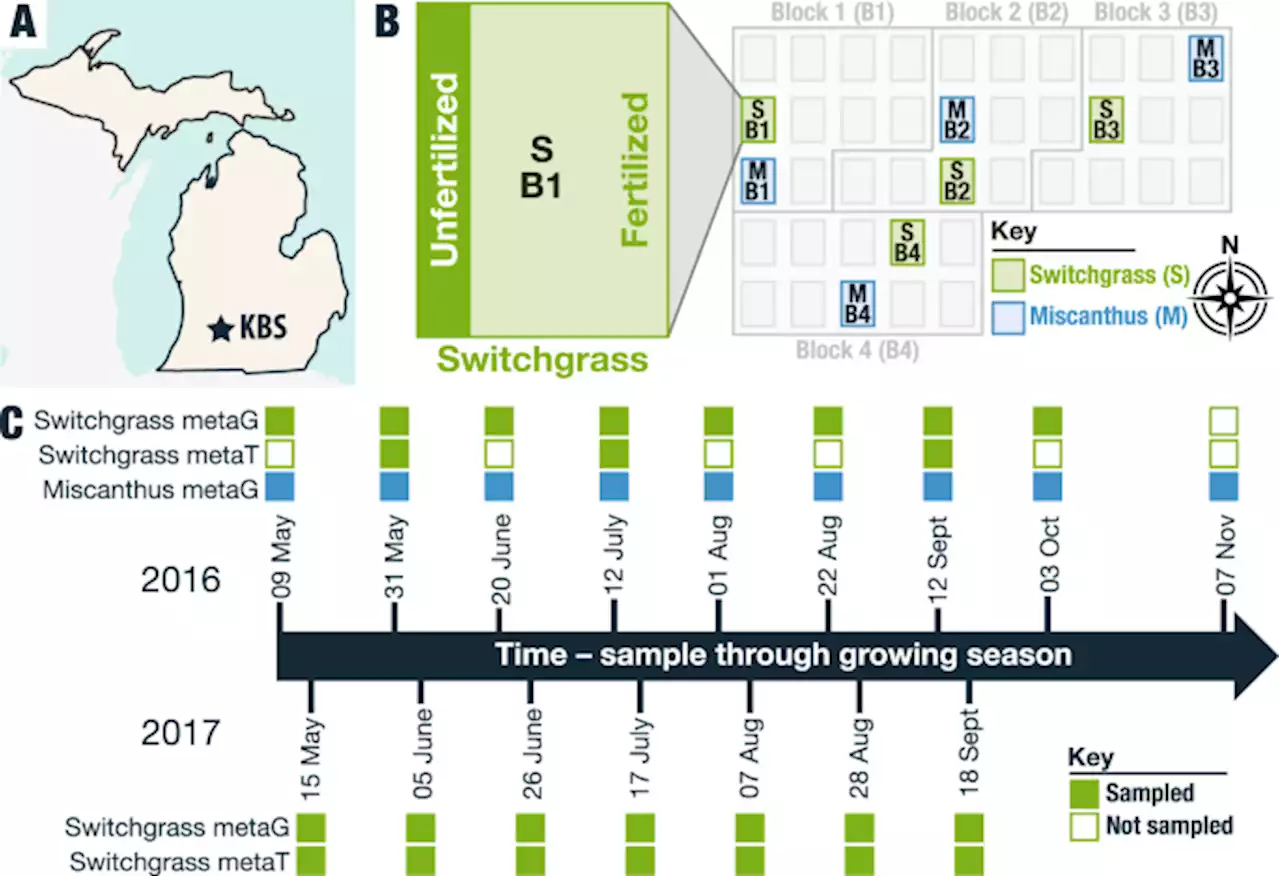 Seasonal activities of the phyllosphere microbiome of perennial crops - Nature Communications