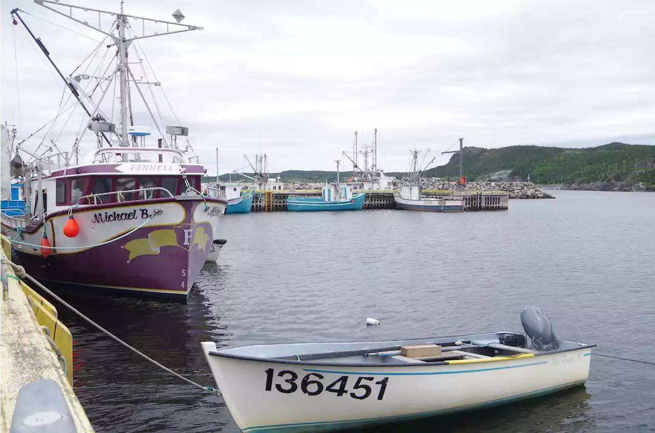 UPDATE: Concerned Newfoundland snow crabbers planning protest at DFO offices in St. John’s Wednesday morning, March 22 | SaltWire