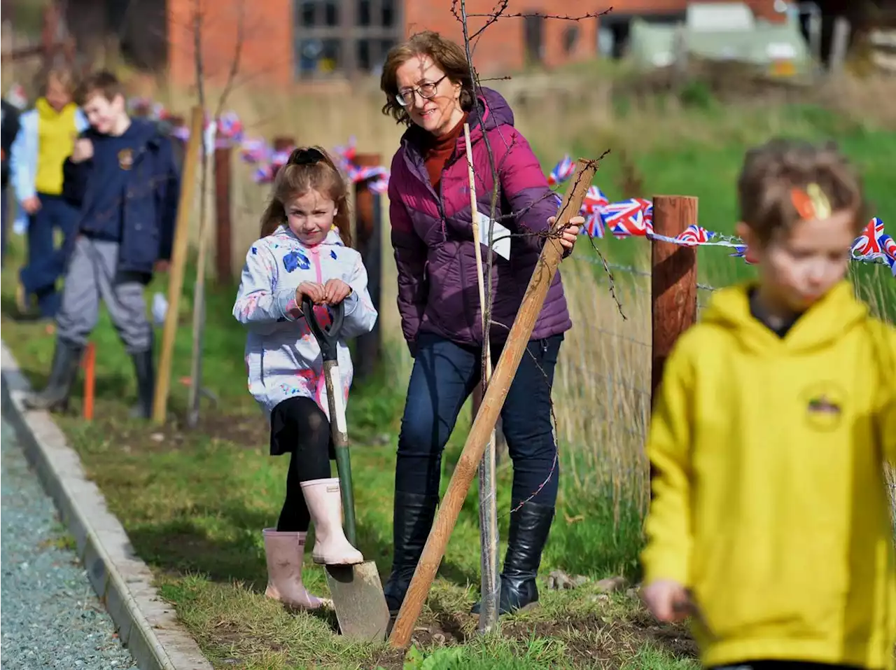 Primary pupils join tree planting effort to mark coronation of King Charles