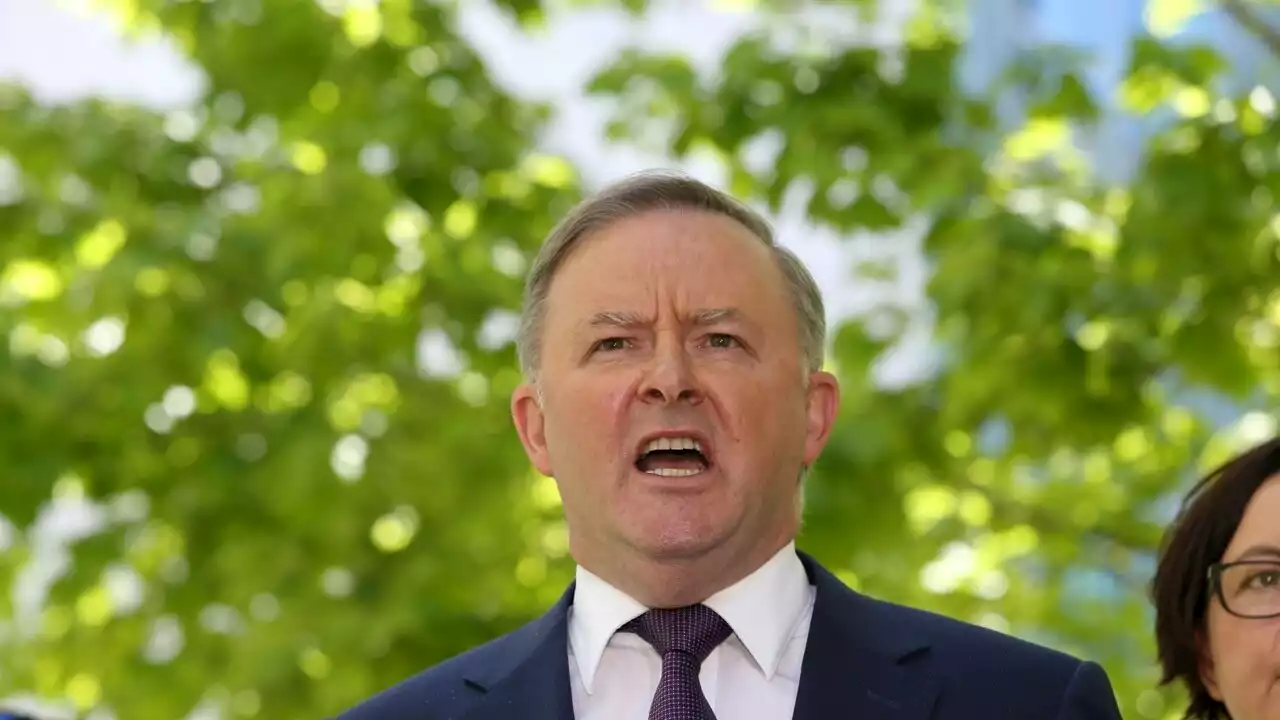 ‘No ideas, no alternatives, no credibility’: Albanese bites back at Coalition