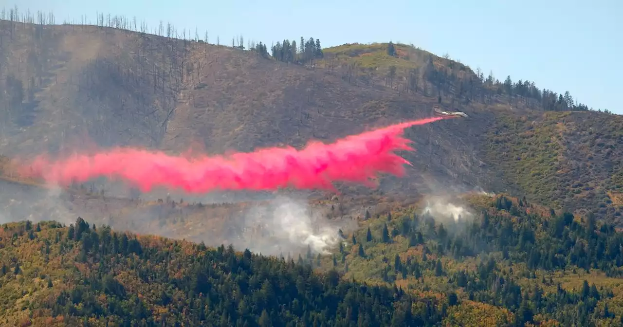 U.S. Forest Service faces lawsuit over wildfire damage from Pole Creek fire