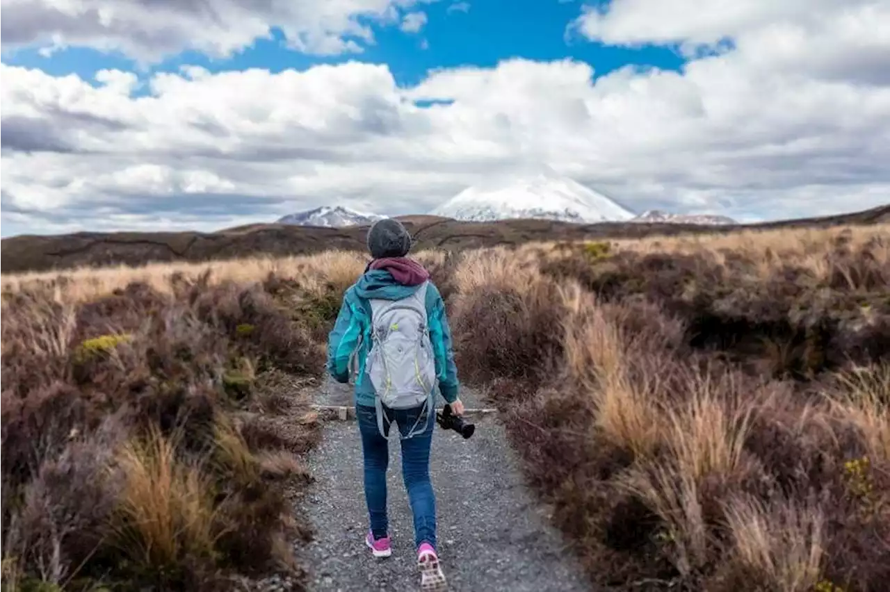 'Break-ups suck': New Zealand campaign comforts forlorn youth