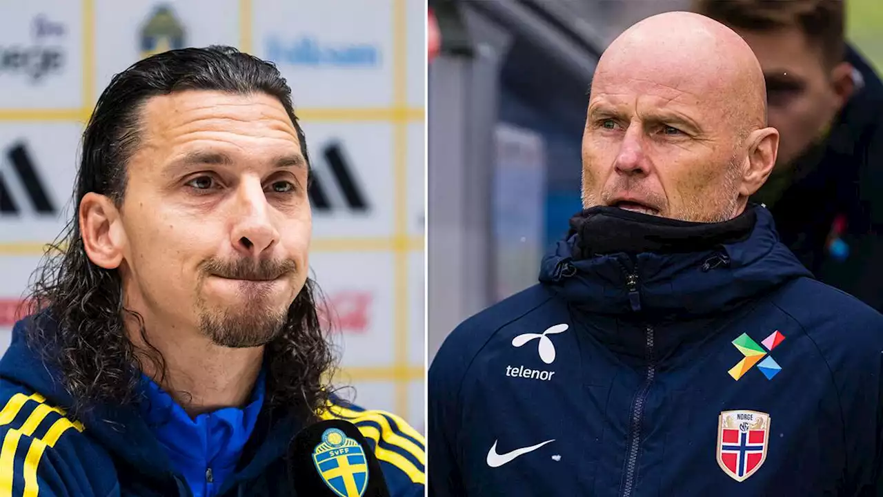 Fotboll: Solbakken om Zlatans Qatar-utspel: ”Långt över gränsen”