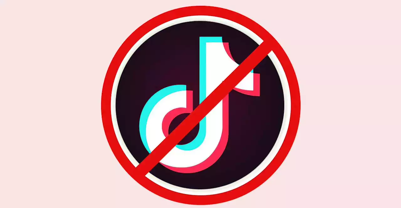 TikTok CEO says company at 'pivotal moment' - TechCentral