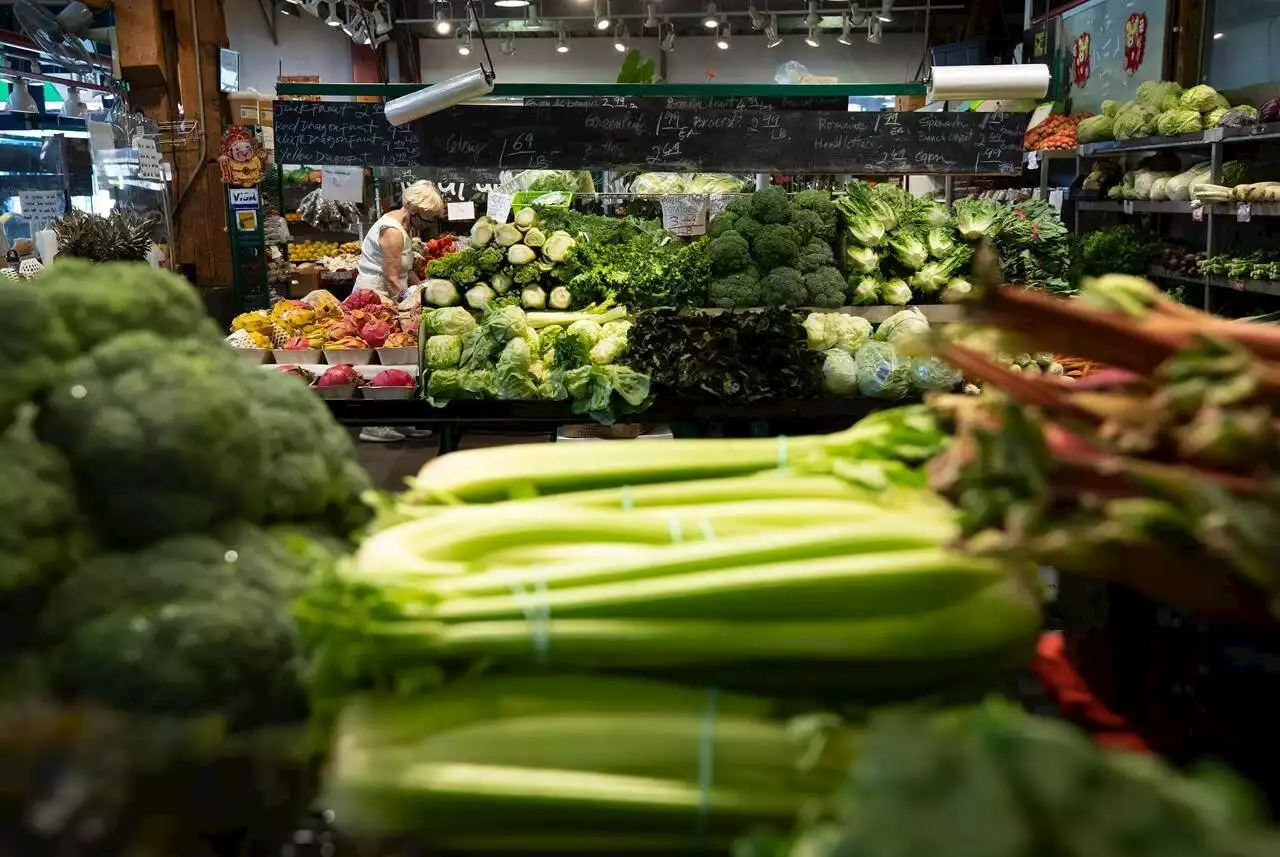 Food inflation in Canada shows signs of easing, but grocery prices to remain high - Terrace Standard