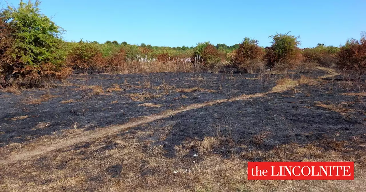 Lincolnshire wildfires increase by more than 300 in a year