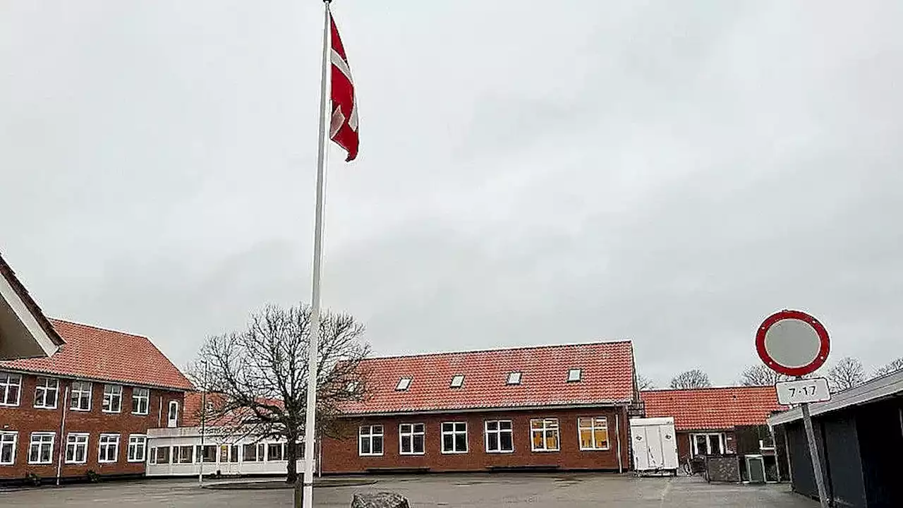 Fem skoler risikerer at lukke: Martin kæmper for, at børnenes skole overlever