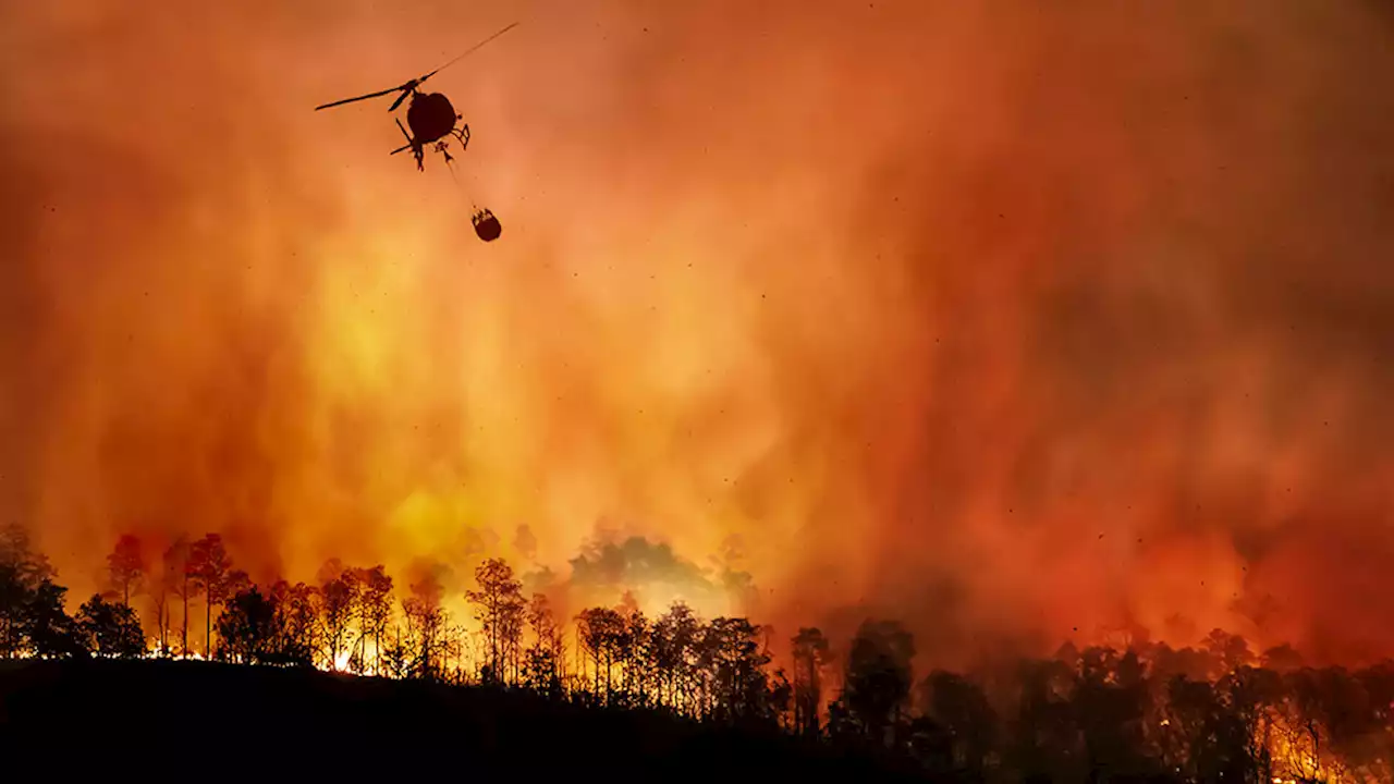 Los megaincendios ocurren con poca frecuencia, pero su impacto negativo es mayor - Gaceta UNAM