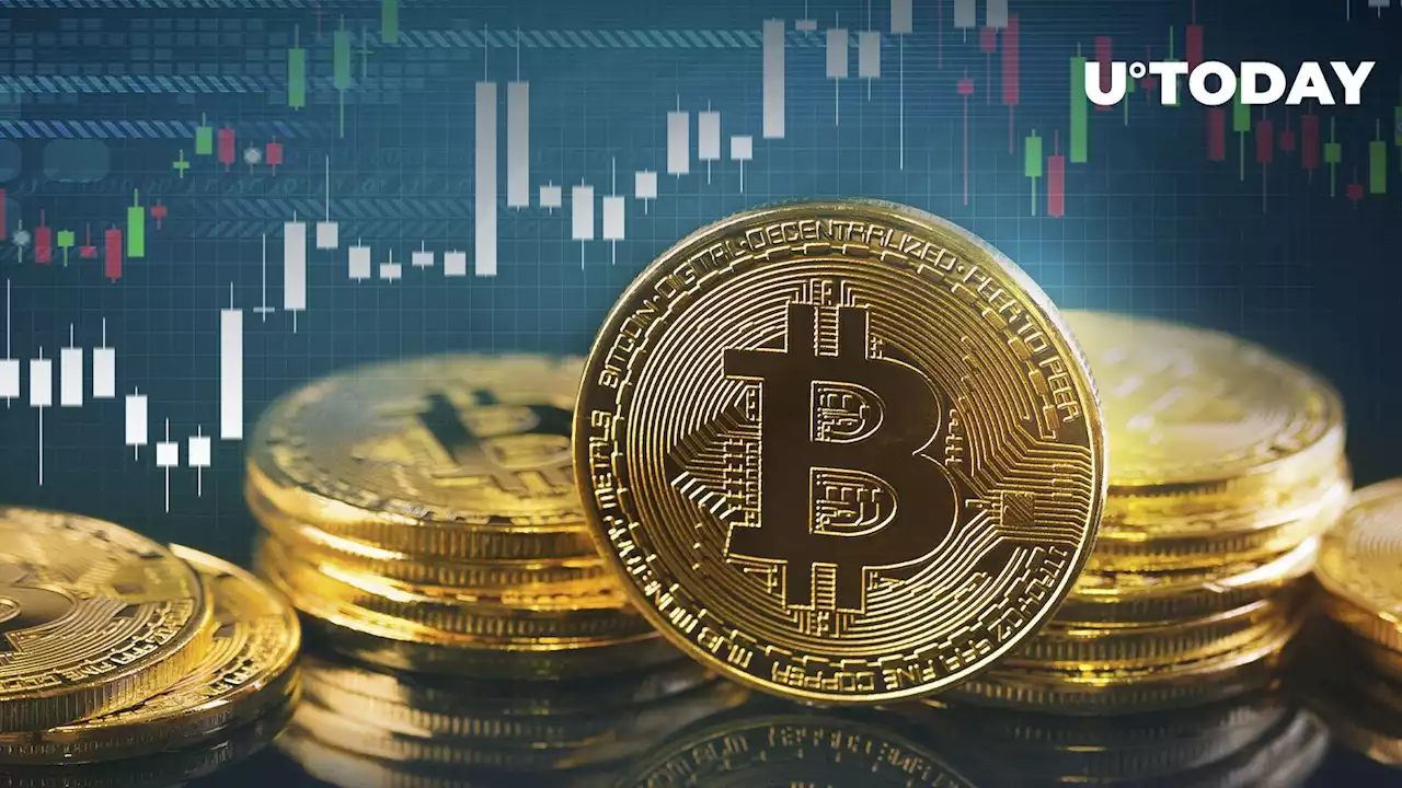 As Bitcoin (BTC) Approaches $29,000, This Professor Warns Rally Might Fizzle Out