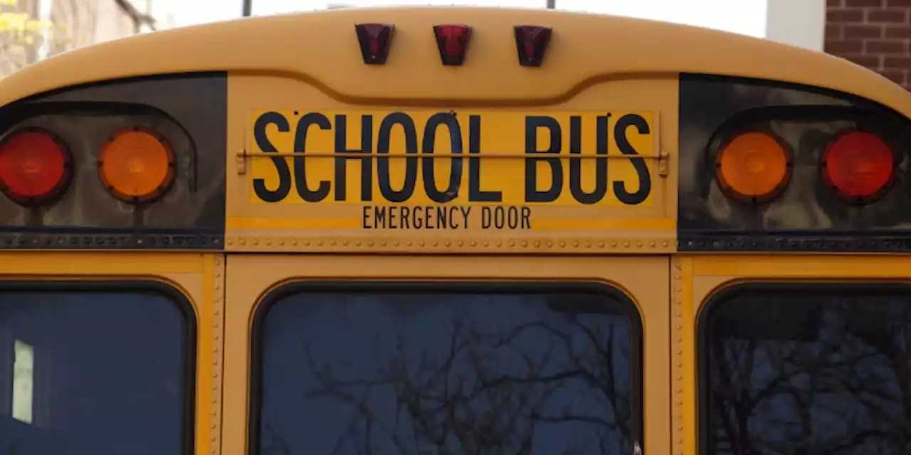 March 22, 2023 – Do you have confidence in the safety of school buses in the province?