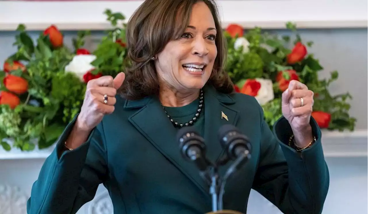 Vice President Kamala Harris has no idea what her job is