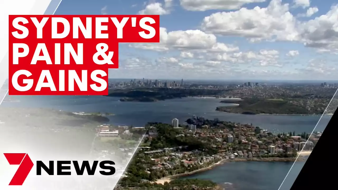 Sydney real estate update shows our suburbs are delivering results | 7NEWS