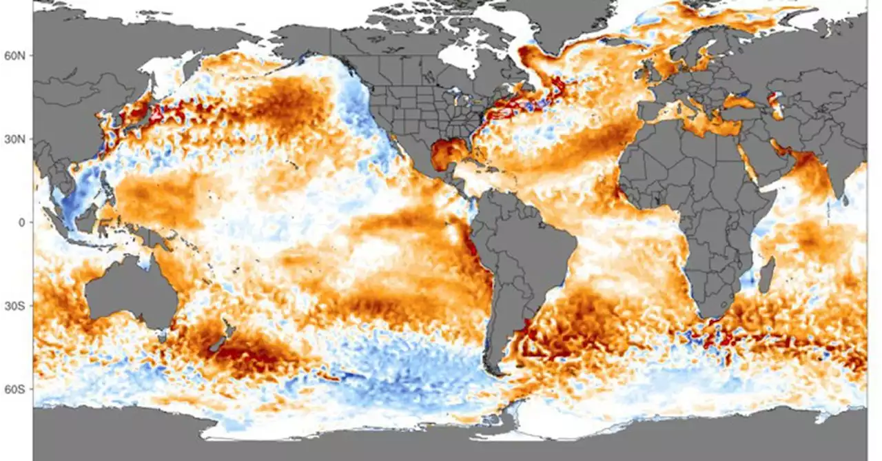 'Be ready': What Australians can expect for summer after El Niño watch issued