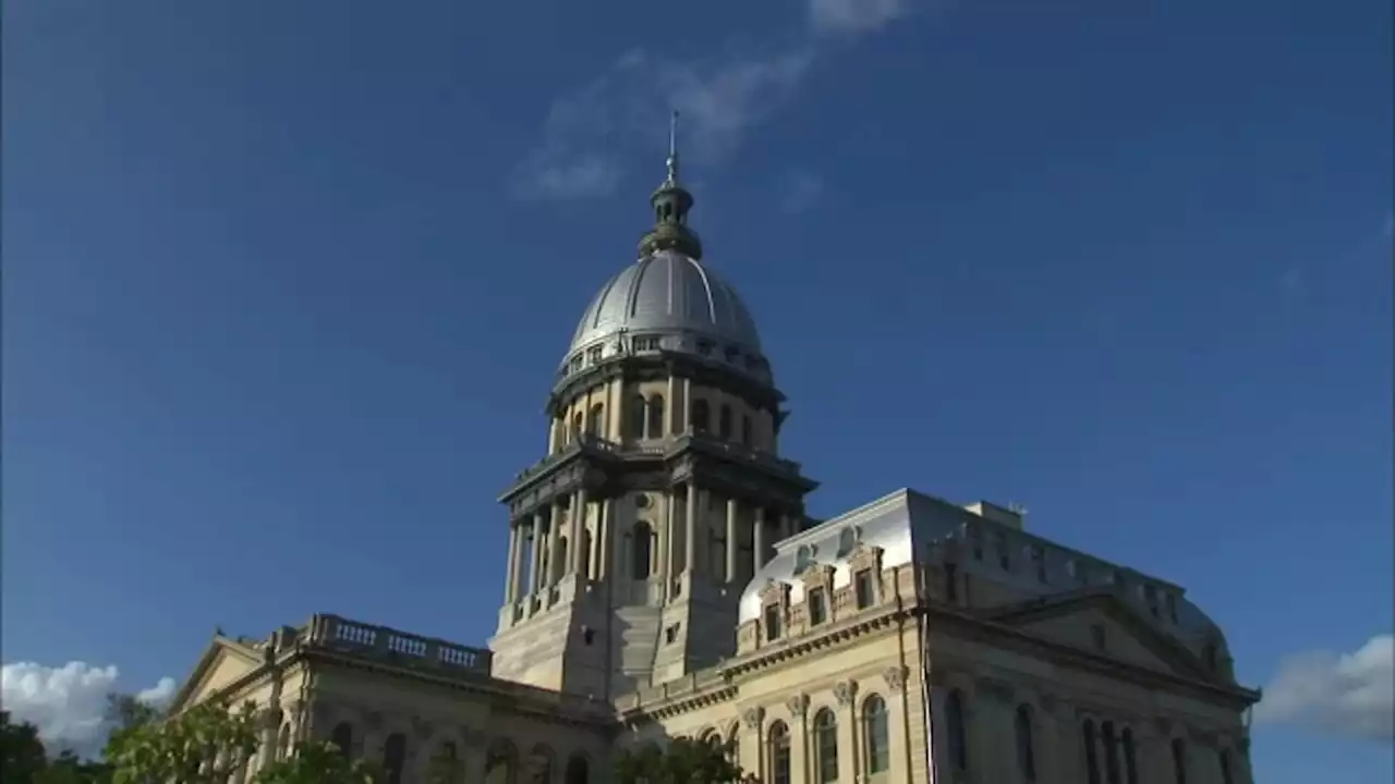 Illinois House passes bill prohibiting libraries from banning books due to partisan pressure