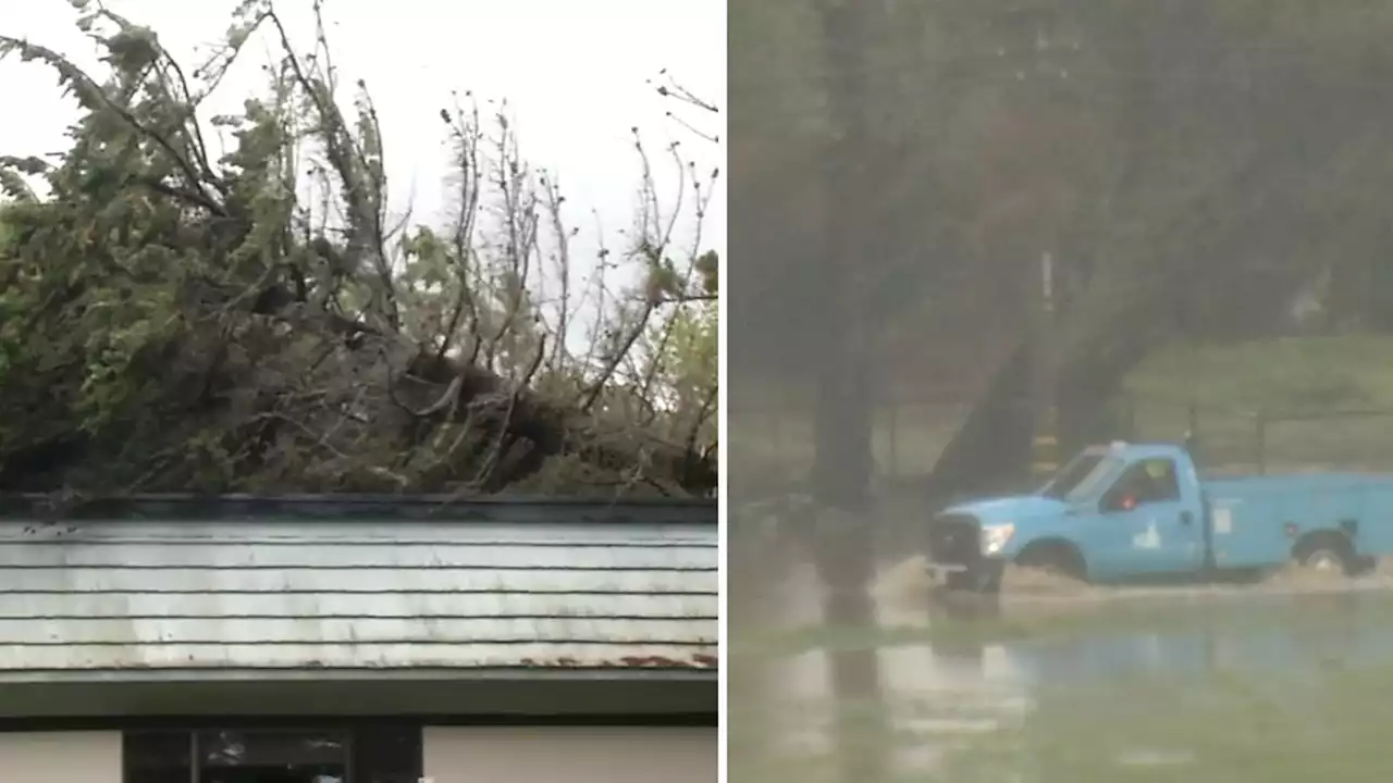 Deadly Bay Area storm leads to evacuations, hundreds of toppled trees and thousands without power