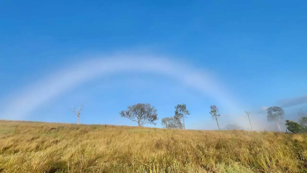 Why 'fogbows', ghostly white rainbows, are such a treat to spot in Australia