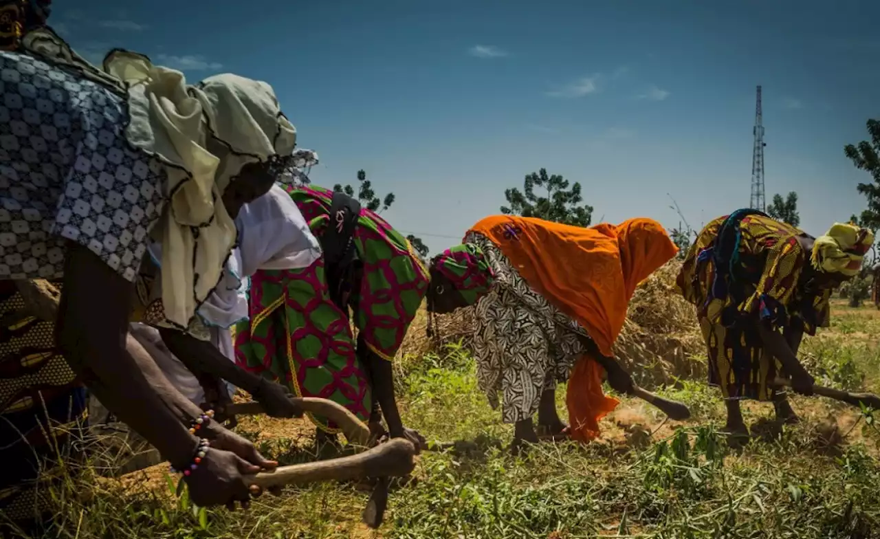 How ICT Can Advance Equality, Peace in Post-Conflict South Sudan