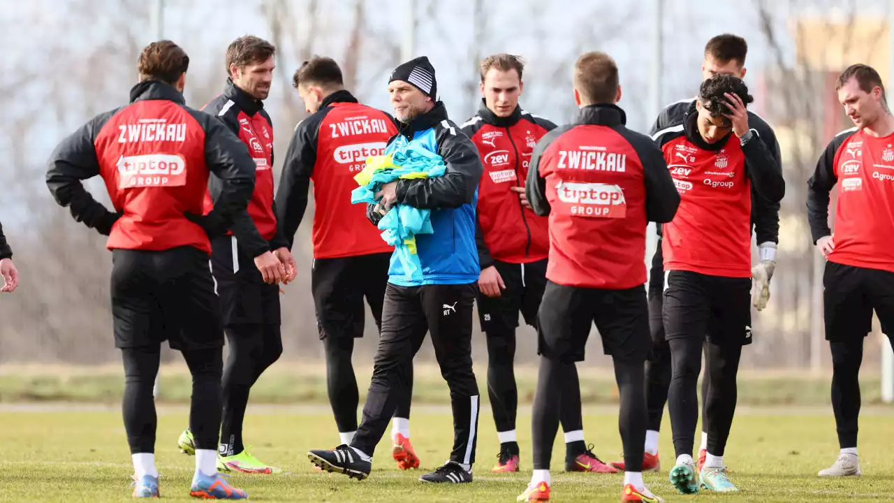 FSV Zwickau: Die wahren Gründe für den Absturz