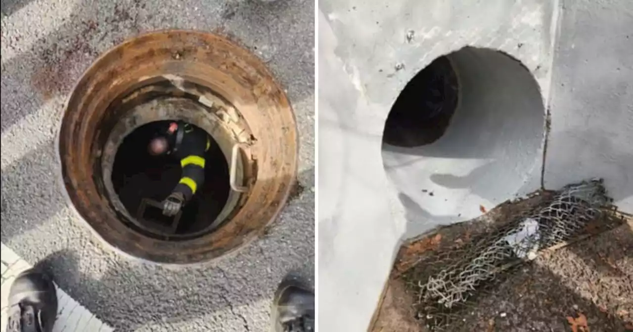 Screams for help: 5 kids stuck in NYC sewer can be heard in 911 call