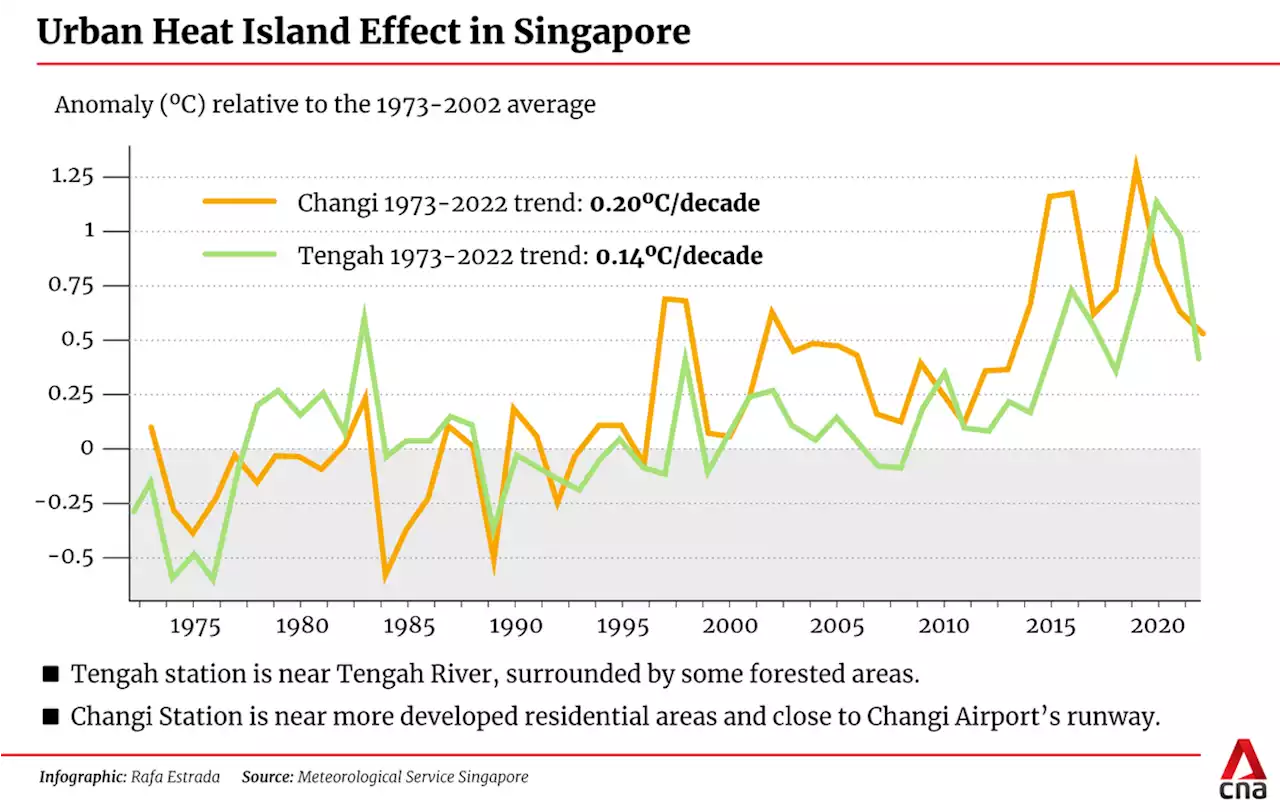 A wet 2022 for Singapore, even as temperatures soared