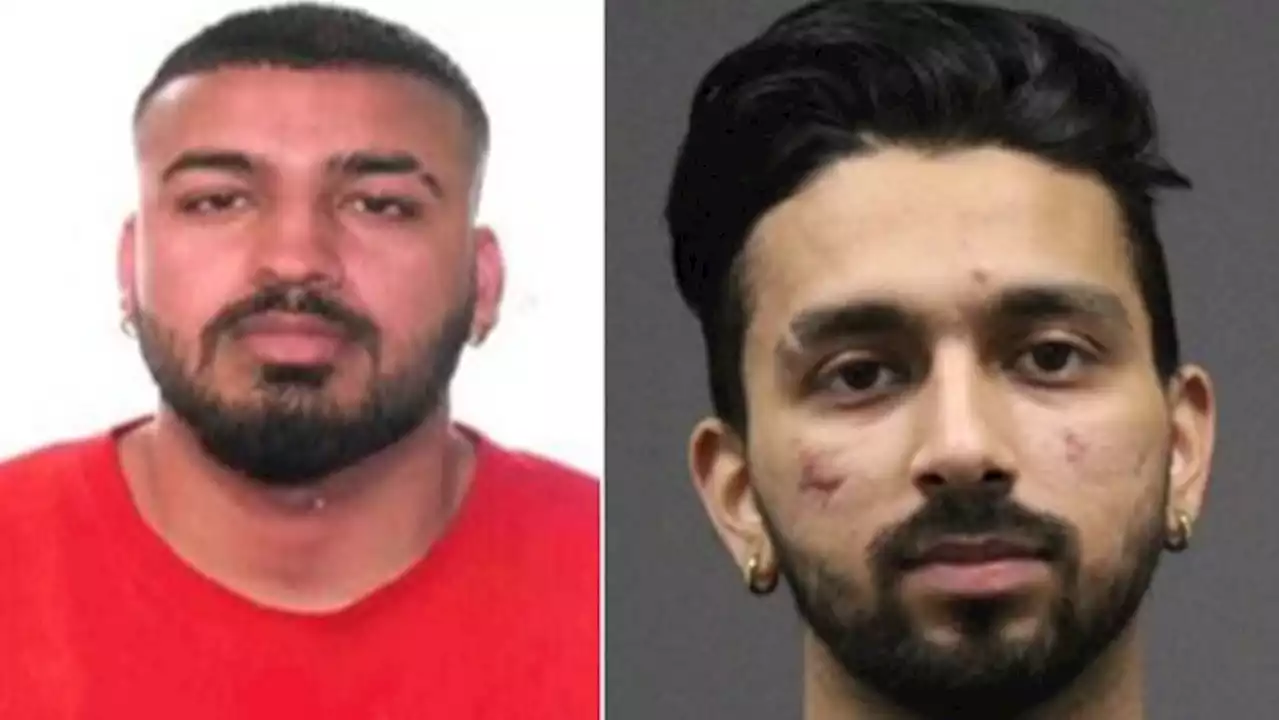 Canada-wide warrants issued for two men wanted in Richmond Hill frying-pan attack on Elnaz Hajtamiri