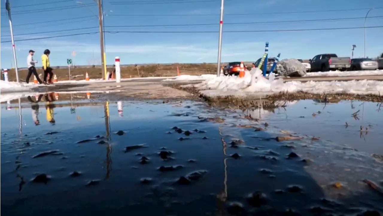 Spring thaw: Calgary crews working to clear flooded streets and sidewalks