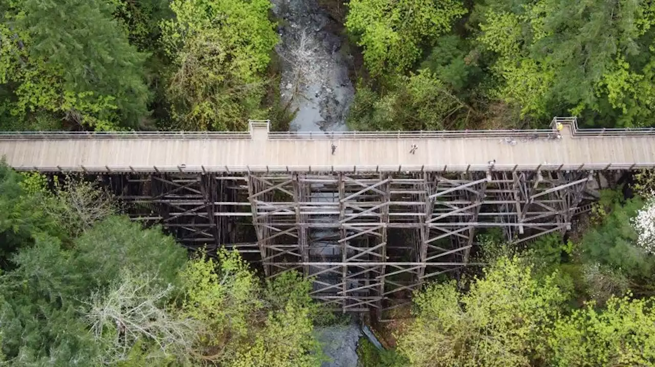 Province seeks input on Cowichan Valley trestle bridge replacement