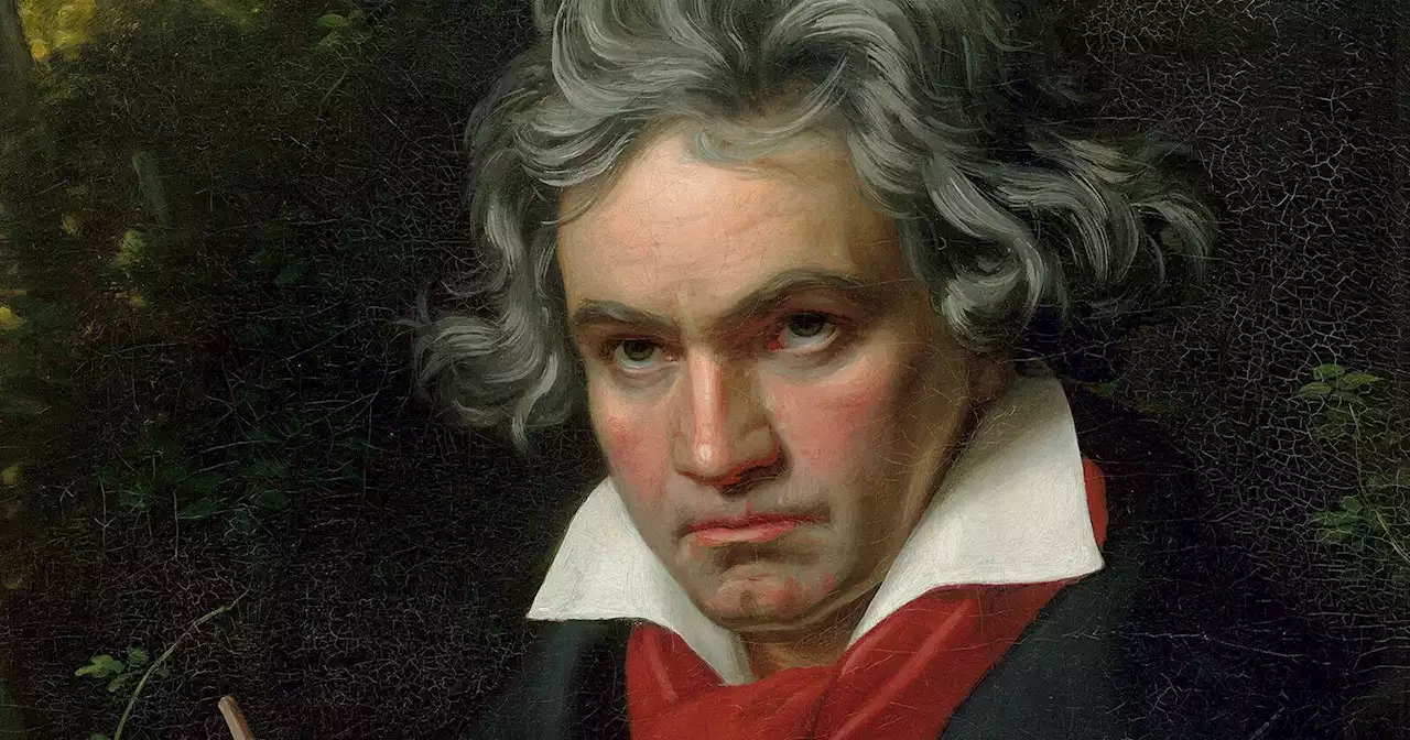 Locks of Beethoven's hair reveal health issues, family secret