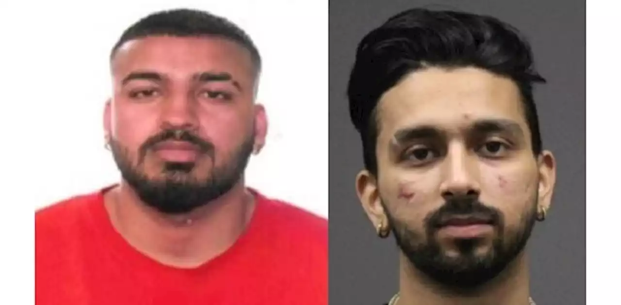 Canada-wide warrants issued for two men accused of assaulting Elnaz Hajtimiri, weeks before her abduction