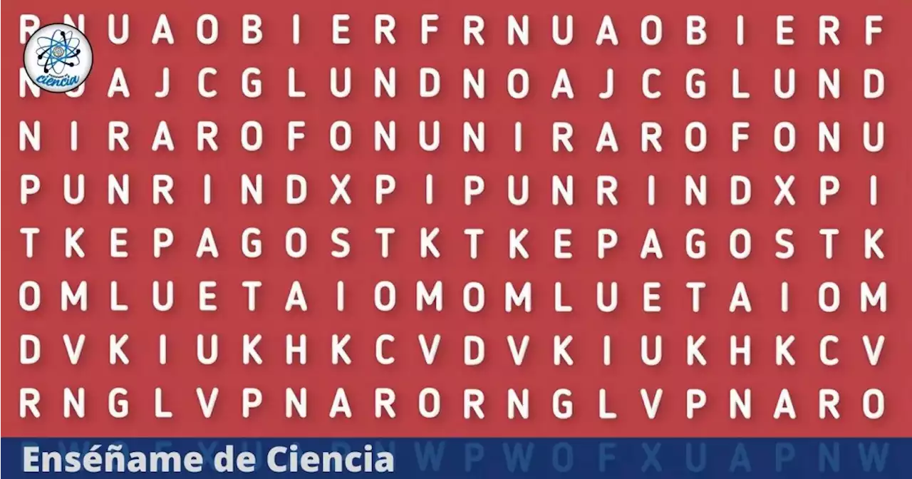 Encuentra la palabra “LAGARTO” en pocos segundos, acertijo visual nivel FÁCIL