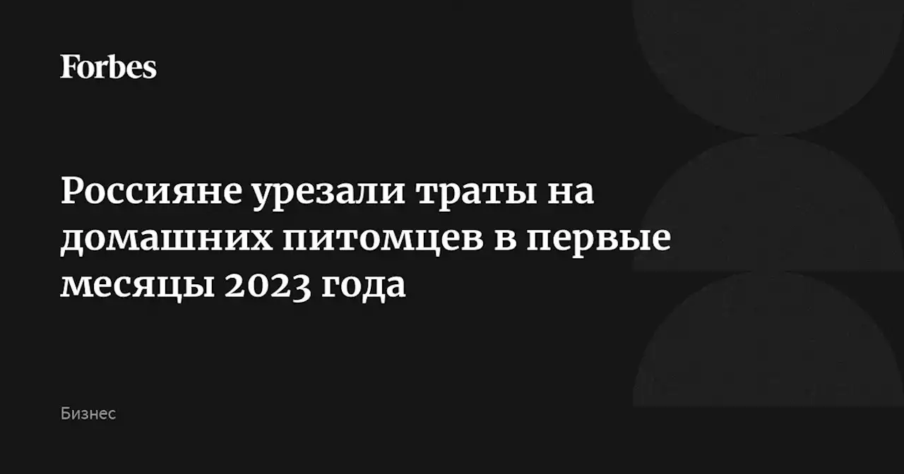 Россияне урезали траты на домашних питомцев в первые месяцы 2023 года