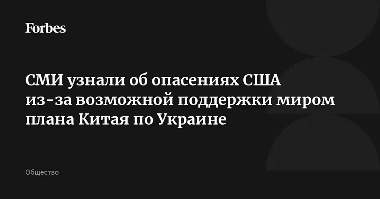 СМИ узнали об опасениях США из-за возможной поддержки миром плана Китая по Украине