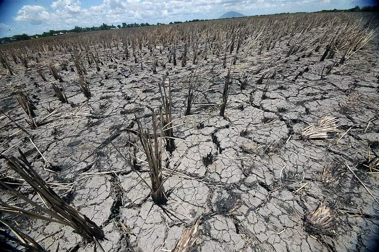 SWS: 93% of Filipino adults felt climate change effects in past 3 years